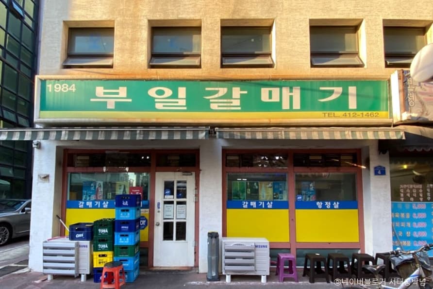 부일갈매기 대표 이미지
