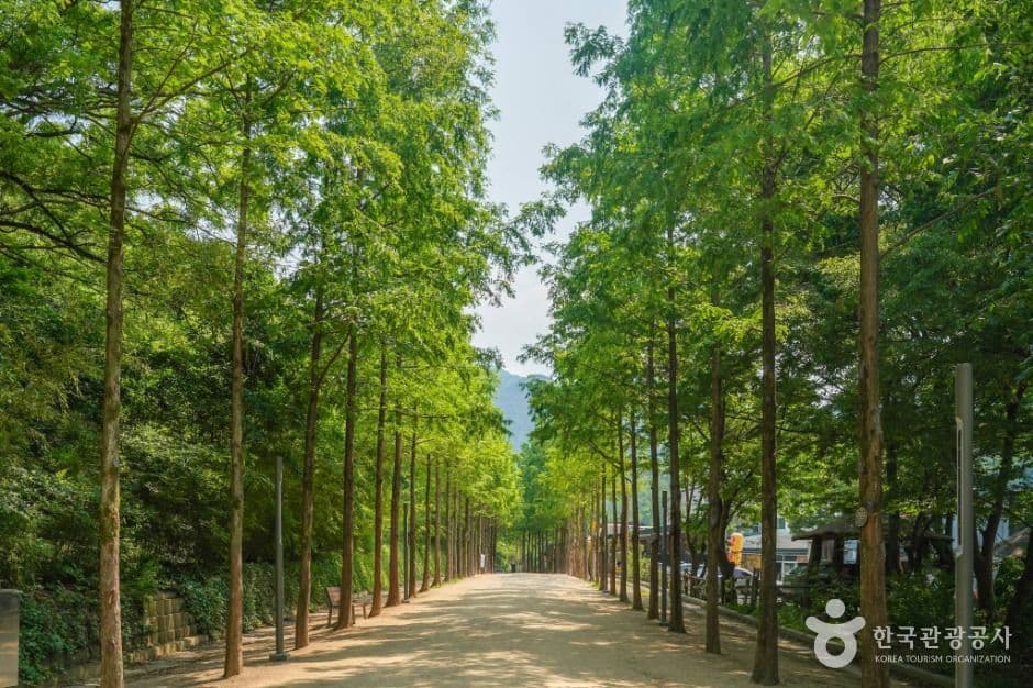 앞산자락길 대표 이미지