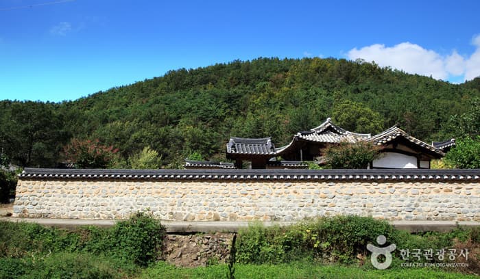 팔공산 구석구석 숨은 매력 속으로 대표 이미지