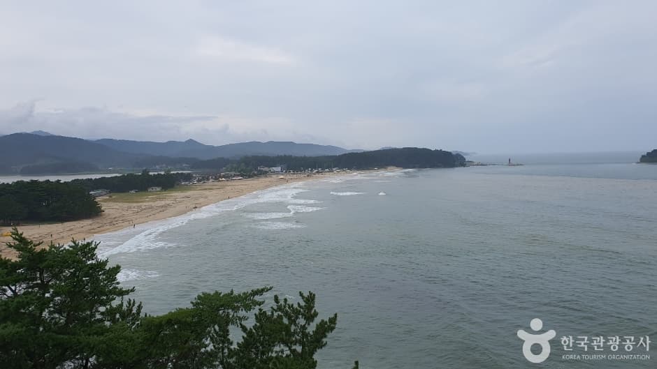 화진포해수욕장 대표 이미지
