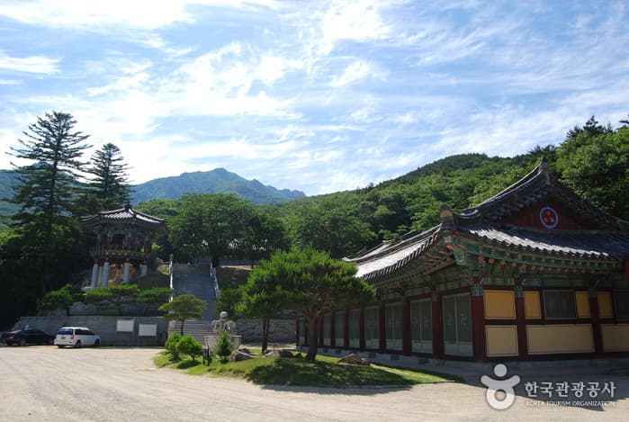 고성의 독특한 전통문화를 즐기다 대표 이미지