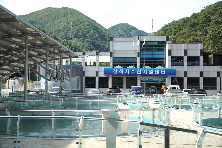 삼척 민물고기전시관 대표 이미지