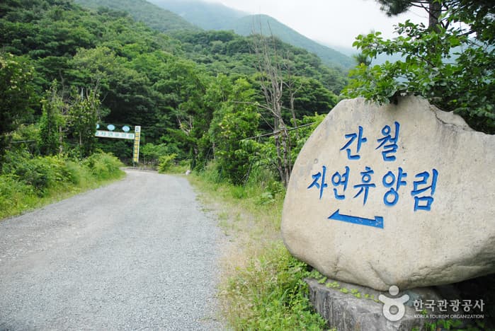간월산 자연휴양림 대표 이미지