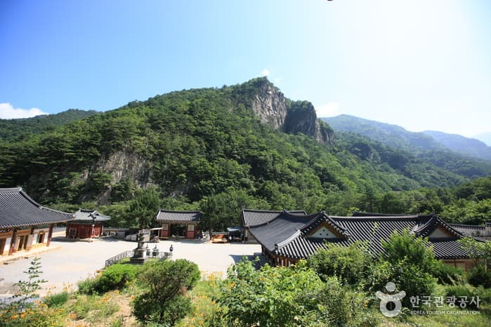 무릉도원에서 즐기는 시원한 하루 대표 이미지